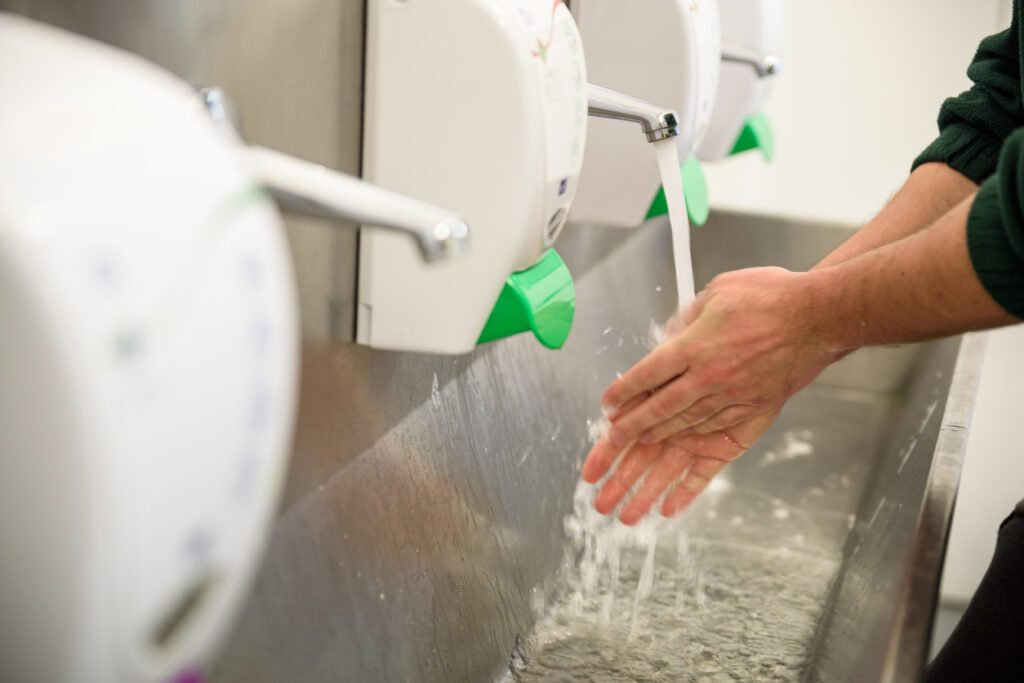 Hand Hygiene and Food Safety. Factory worker washing hands