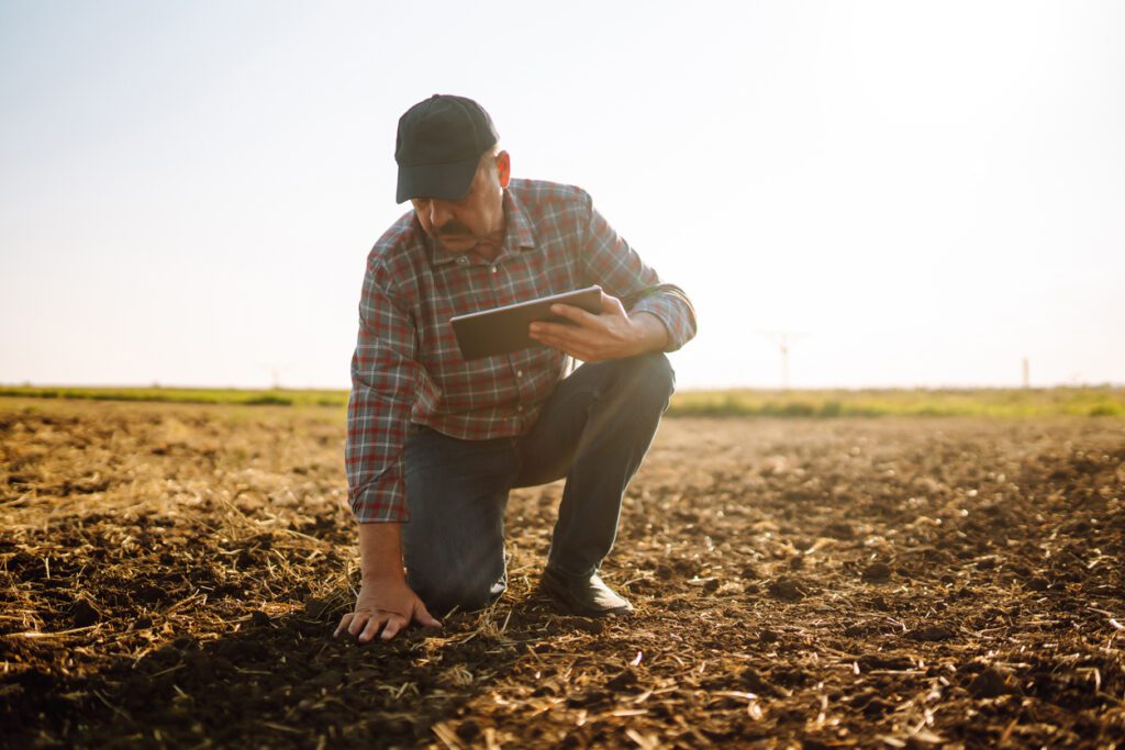 Male hands touching soil and checks quality of soil before sowing.